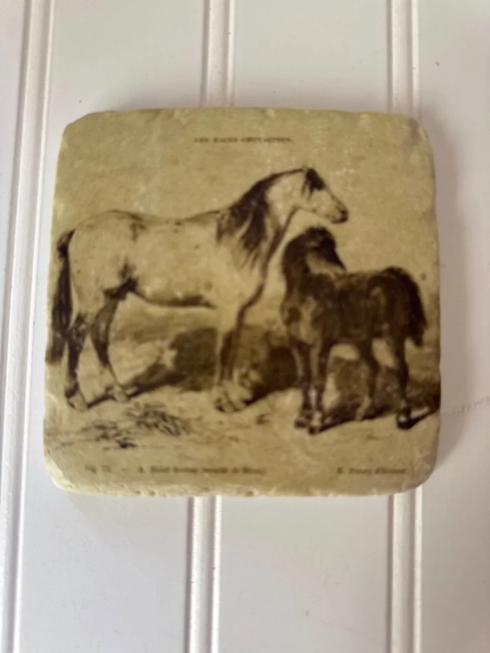 Tumbled Stone Horse Equestrian Coaster Set Cork Backings Rustic Beige Western